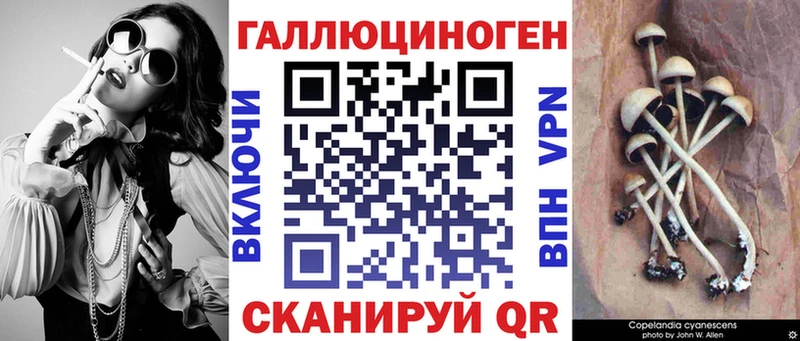 Купить закладки  Армянск  Галлюциногенные грибы Cubensis 